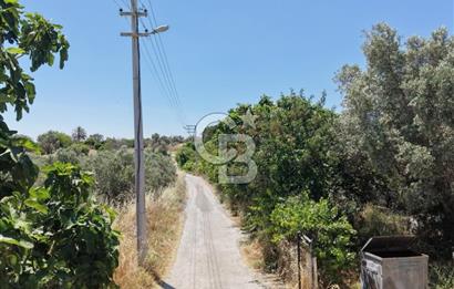 Urla Altıntaş'da Yola Cepheli, Elektrik/Suyu Hazır Satılık Tarla