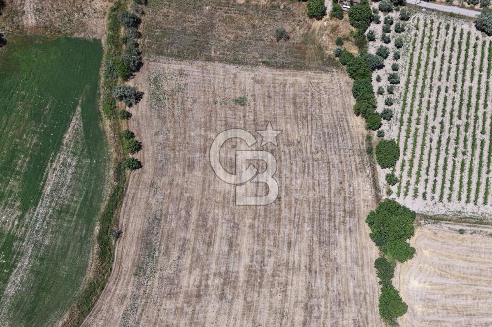 Urla Altıntaş'da Yola Cepheli, Elektrik/Suyu Hazır Satılık Tarla