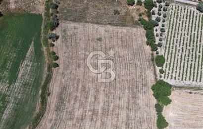 Urla Altıntaş'da Yola Cepheli, Elektrik/Suyu Hazır Satılık Tarla
