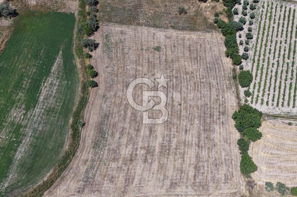 Urla Altıntaş'da Yola Cepheli, Elektrik/Suyu Hazır Satılık Tarla