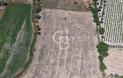 Urla Altıntaş'da Yola Cepheli, Elektrik/Suyu Hazır Satılık Tarla