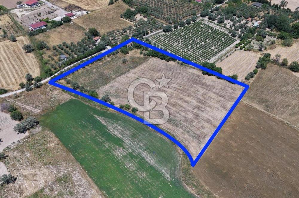 Urla Altıntaş'da Yola Cepheli, Elektrik/Suyu Hazır Satılık Tarla