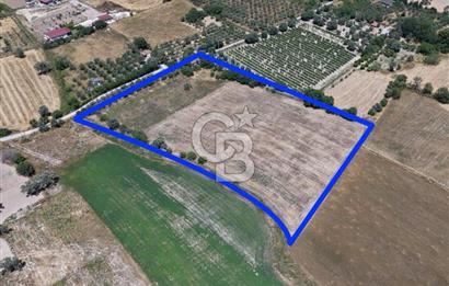 Urla Altıntaş'da Yola Cepheli, Elektrik/Suyu Hazır Satılık Tarla