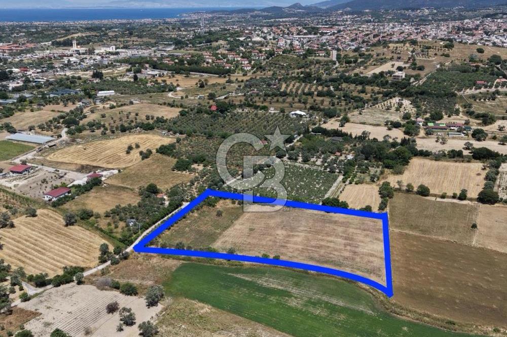 Urla Altıntaş'da Yola Cepheli, Elektrik/Suyu Hazır Satılık Tarla