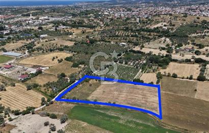 Urla Altıntaş'da Yola Cepheli, Elektrik/Suyu Hazır Satılık Tarla