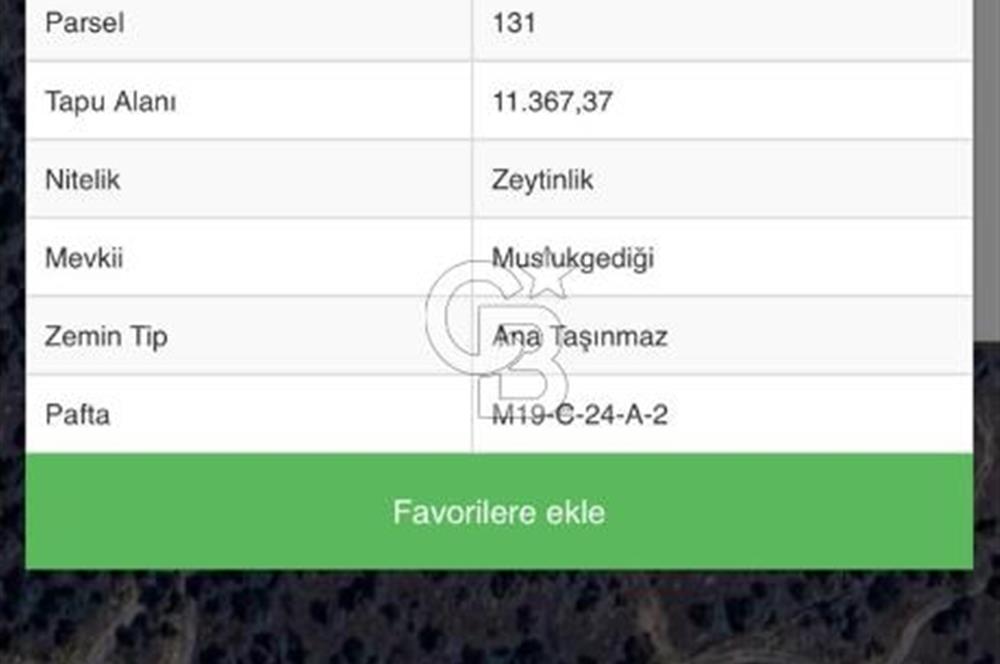 Aydın Karpuzlu Çörtlen Mah 11.367 M2 Satılık Nitelikli Zeytinlik