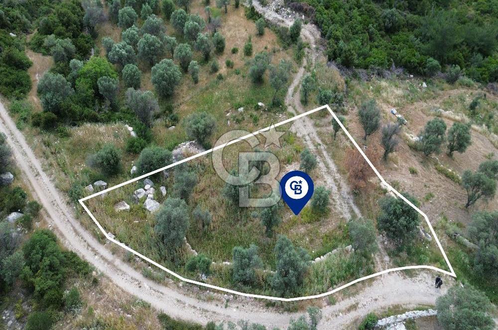 Eğlenhoca Mahallesi'nde 1277 m² Göl Manzaralı Yatırımlık Arazi