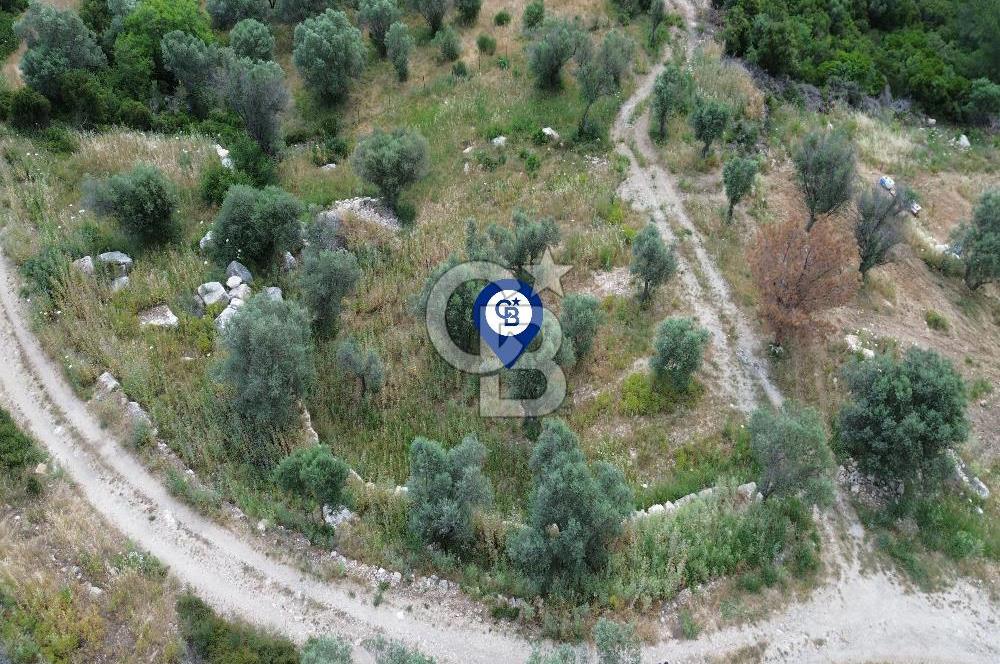 Eğlenhoca Mahallesi'nde 1277 m² Göl Manzaralı Yatırımlık Arazi