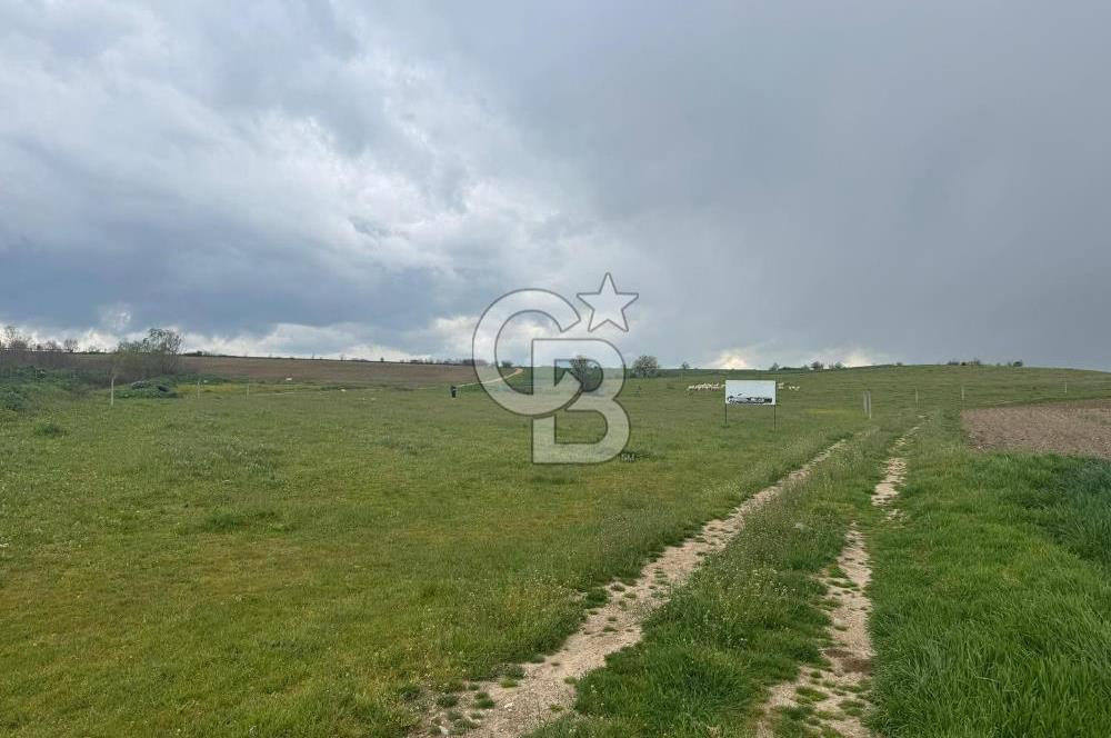 Kırklareli İnece Satılık Sanayi İmarlı Arsa
