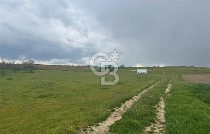 Kırklareli İnece Satılık Sanayi İmarlı Arsa