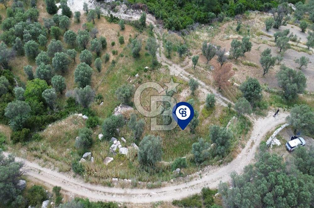 Eğlenhoca Mahallesi'nde 1277 m² Göl Manzaralı Yatırımlık Arazi