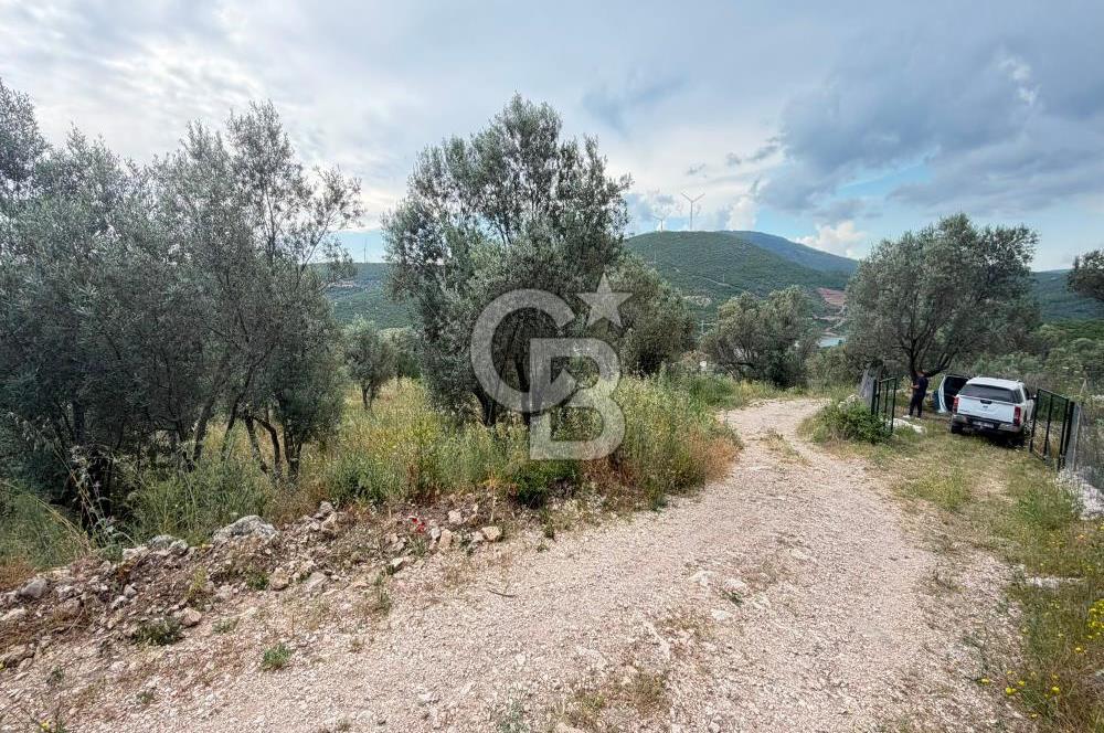 Eğlenhoca Mahallesi'nde 1277 m² Göl Manzaralı Yatırımlık Arazi