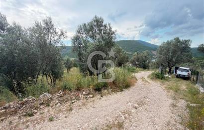Eğlenhoca Mahallesi'nde 1277 m² Göl Manzaralı Yatırımlık Arazi