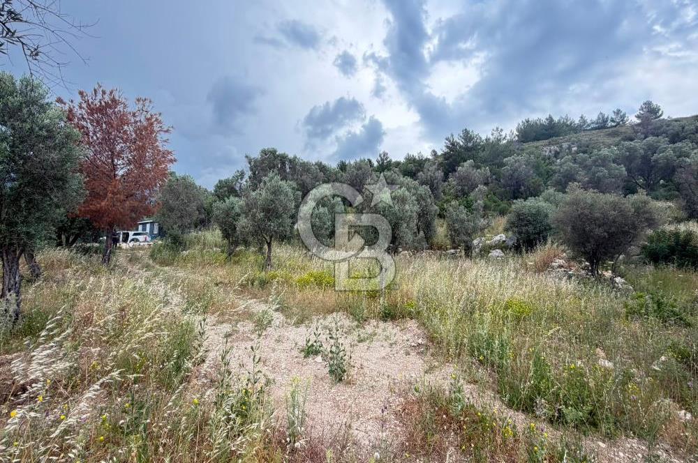Eğlenhoca Mahallesi'nde 1277 m² Göl Manzaralı Yatırımlık Arazi