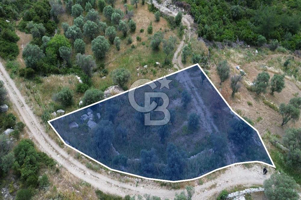 Eğlenhoca Mahallesi'nde 1277 m² Göl Manzaralı Yatırımlık Arazi