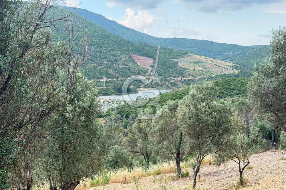 Eğlenhoca Mahallesi'nde 1277 m² Göl Manzaralı Yatırımlık Arazi