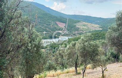Eğlenhoca Mahallesi'nde 1277 m² Göl Manzaralı Yatırımlık Arazi