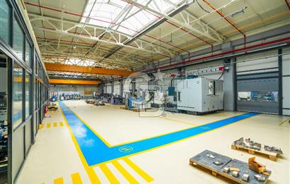 Kocaeli Çayırova Satılık 20.000m² Arsa İçinde 14.000m² Fabrika