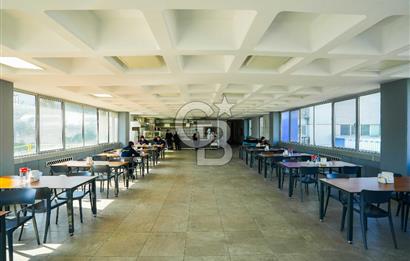 Kocaeli Çayırova Satılık 20.000m² Arsa İçinde 14.000m² Fabrika