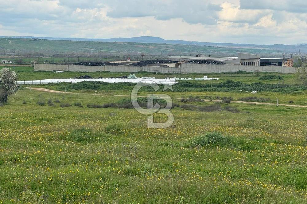 Kırklareli İnece Satılık Sanayi İmarlı Arsa