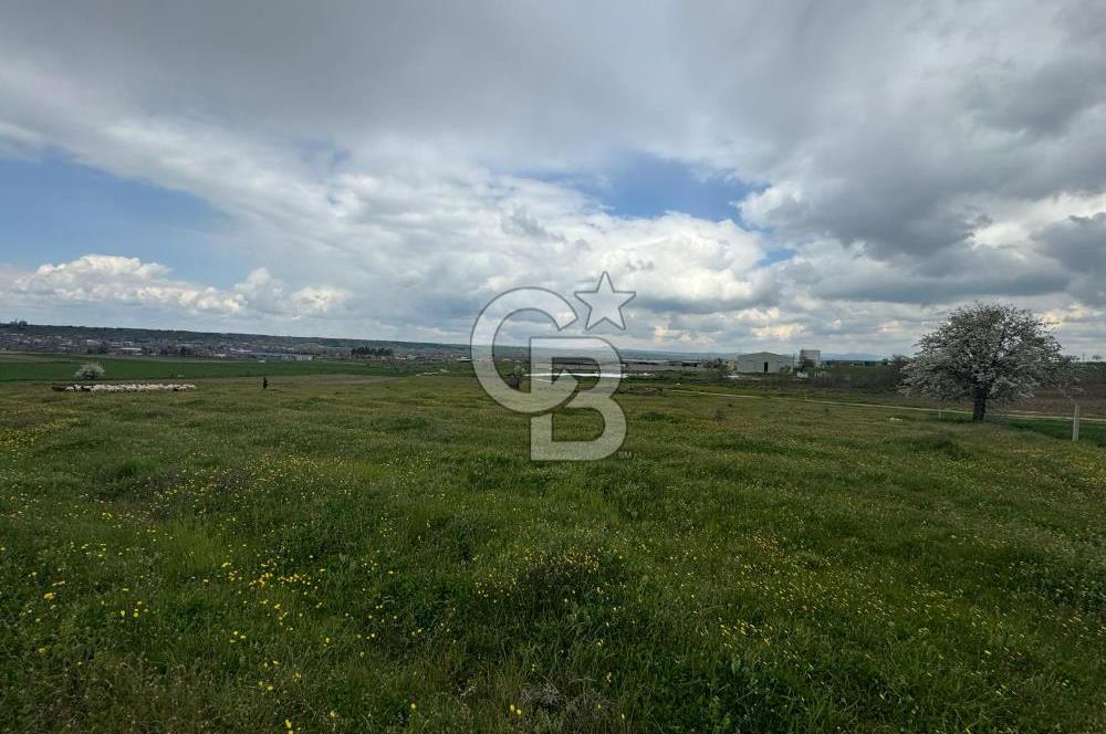 Kırklareli İnece Satılık Sanayi İmarlı Arsa