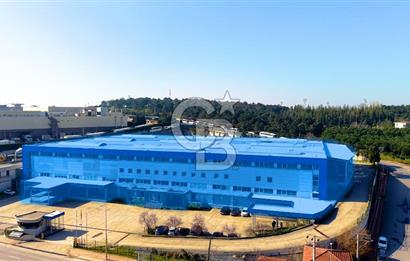 Kocaeli Çayırova Satılık 20.000m² Arsa İçinde 14.000m² Fabrika
