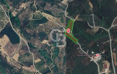 Yalova Armutlu Karşıyaka Satılık Tarla