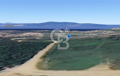 Yalova Armutlu Karşıyaka Satılık Tarla