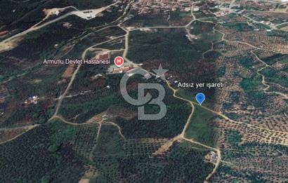 Yalova Armutlu Karşıyaka Satılık Tarla