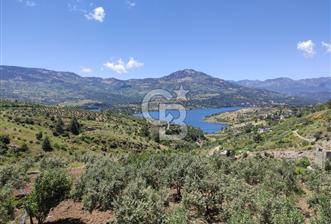 COLDWELL'DEN KIZILSEKİ'DE NATAMAM EVİ İLE SATILIK TARLA/BAHÇE - 1 - 351403