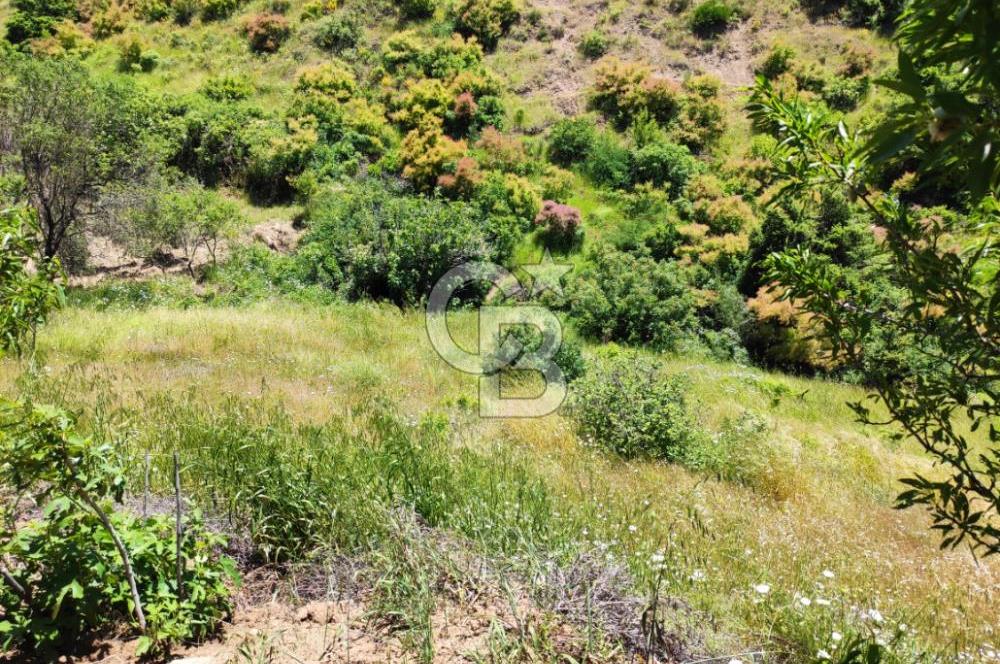 COLDWELL'DEN KIZILSEKİ'DE NATAMAM EVİ İLE SATILIK TARLA/BAHÇE
