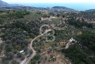 Eğlenhoca Mahallesi'nde 1277 m² Göl Manzaralı Yatırımlık Arazi - 11 - 351413