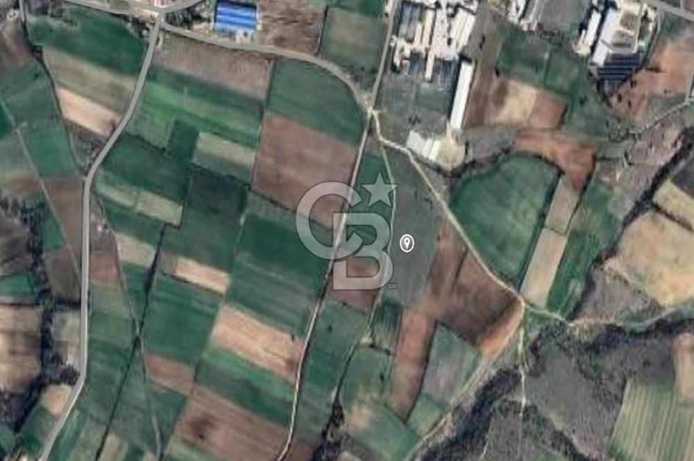Kırklareli İnece Satılık Sanayi İmarlı Arsa
