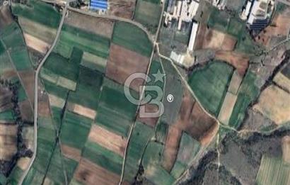 Kırklareli İnece Satılık Sanayi İmarlı Arsa