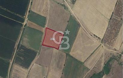 Kırklareli İnece Satılık Sanayi İmarlı Arsa