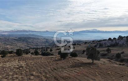 CB GİZ'DEN SEYDİKEMER YAYLA KARAÇULHA'DAN SATILIK PARSELLER