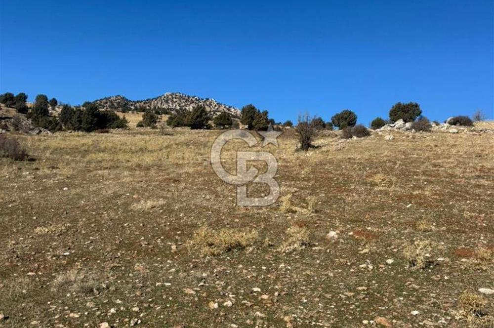 CB GİZ'DEN SEYDİKEMER YAYLA KARAÇULHA'DAN SATILIK PARSELLER