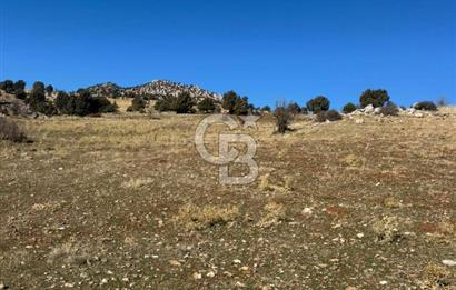 CB GİZ'DEN SEYDİKEMER YAYLA KARAÇULHA'DAN SATILIK PARSELLER