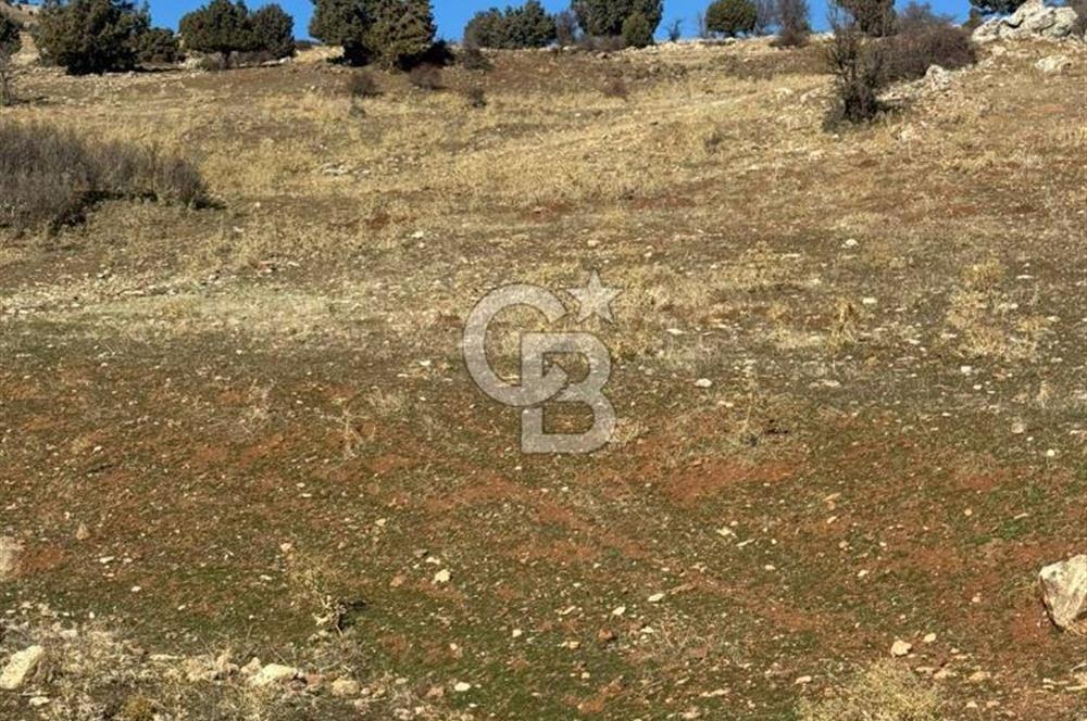 CB GİZ'DEN SEYDİKEMER YAYLA KARAÇULHA'DAN SATILIK PARSELLER