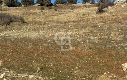 CB GİZ'DEN SEYDİKEMER YAYLA KARAÇULHA'DAN SATILIK PARSELLER