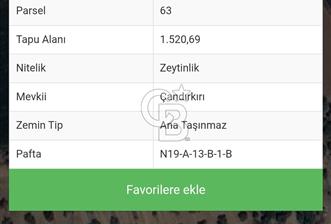 Göl manzaralı zeytinlik  - 1 - 351430