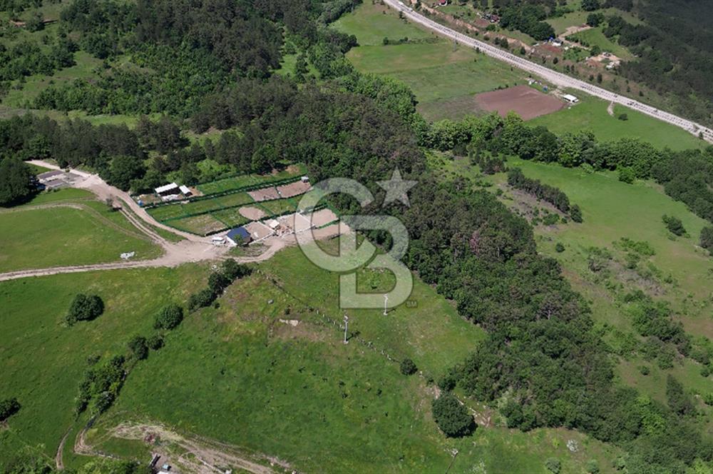 BURSA ORHANELİ NALINLAR MAHALLESİ'NDE SATILIK 5.414 m² TARLA