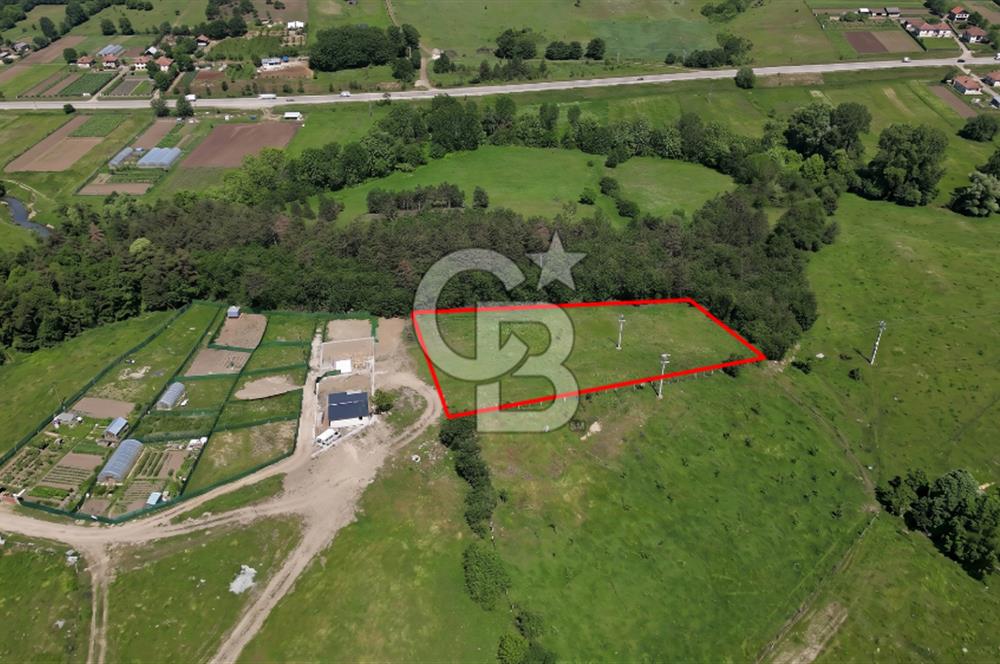 BURSA ORHANELİ NALINLAR MAHALLESİ'NDE SATILIK 5.414 m² TARLA