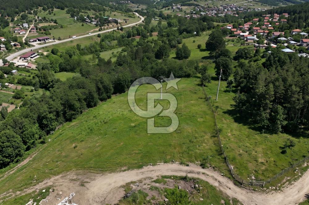 BURSA ORHANELİ NALINLAR MAHALLESİ'NDE SATILIK 5.414 m² TARLA