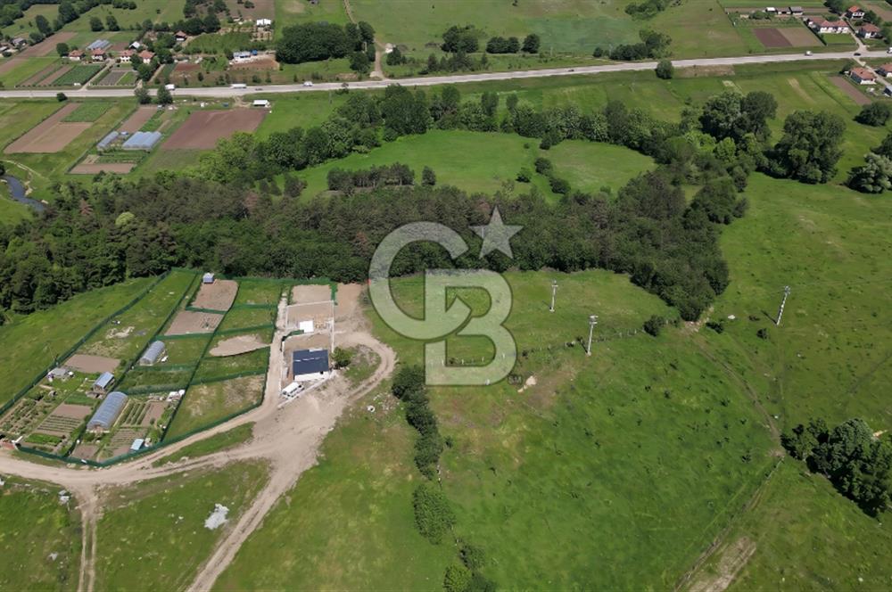 BURSA ORHANELİ NALINLAR MAHALLESİ'NDE SATILIK 5.414 m² TARLA