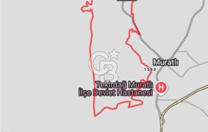 Tekirdağ,Muratlu,İnanlı,Sarımeşe'de 10233,33 m2 müstakil tarla