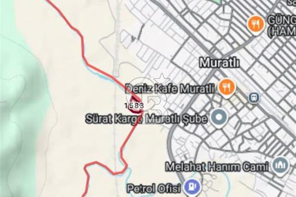 Tekirdağ,Muratlu,İnanlı,Sarımeşe'de 10233,33 m2 müstakil tarla