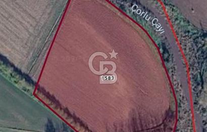 Tekirdağ,Muratlu,İnanlı,Sarımeşe'de 10233,33 m2 müstakil tarla
