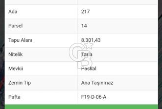 Tekirdağ,Muratlı,Kurtpınar,Paskal'da OSB yakınında tarla - 12 - 351499