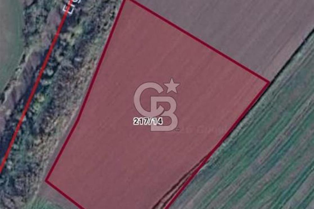 Tekirdağ,Muratlı,Kurtpınar,Paskal'da OSB yakınında tarla